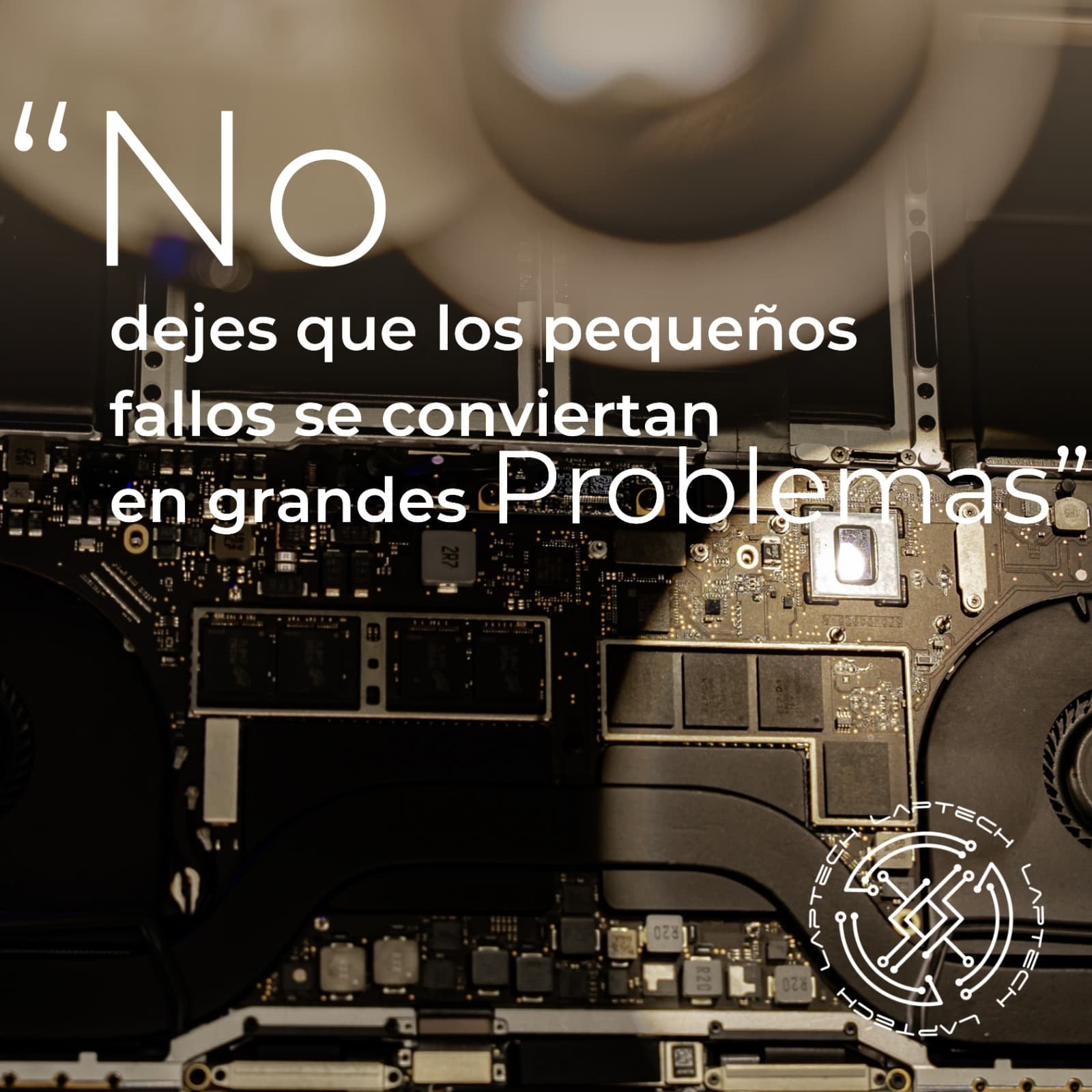 Reparación profesional 10