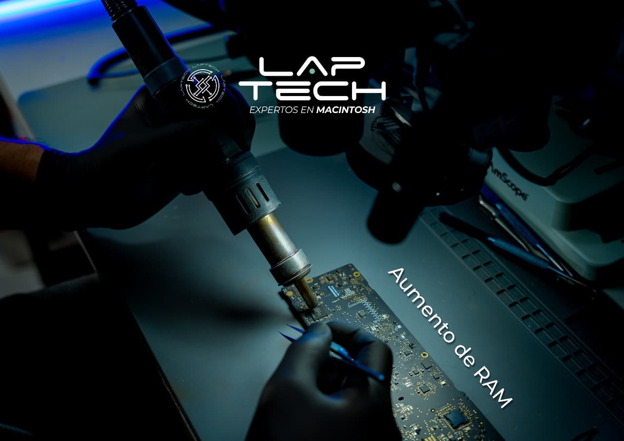 Reparación profesional 2