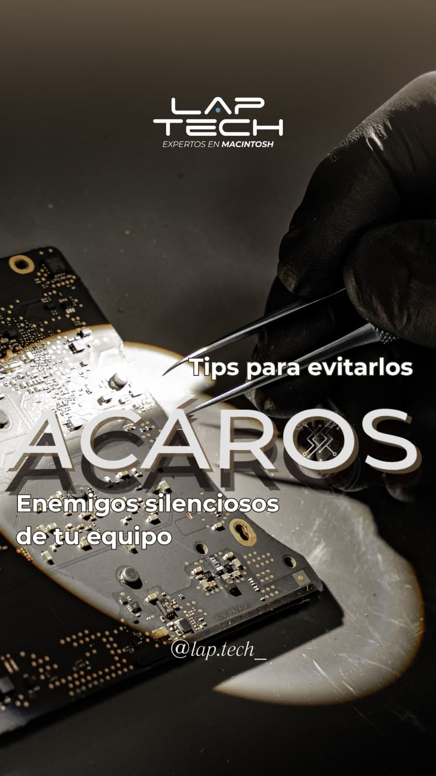 Reparación profesional 3