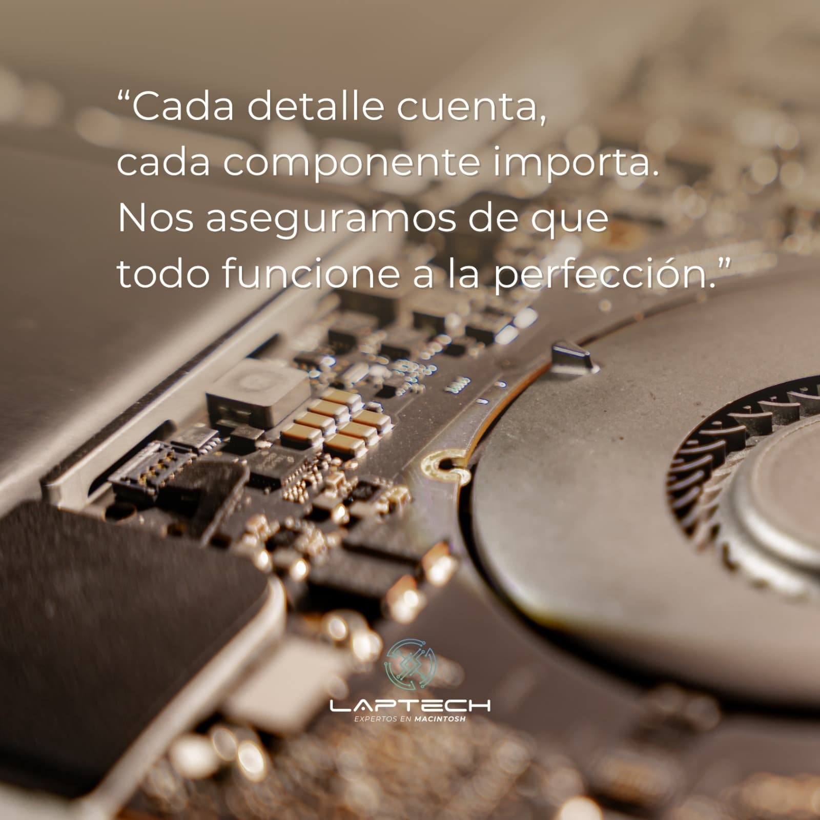 Reparación profesional 8